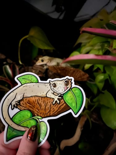 Customer photo review of Custom Sample Sticker