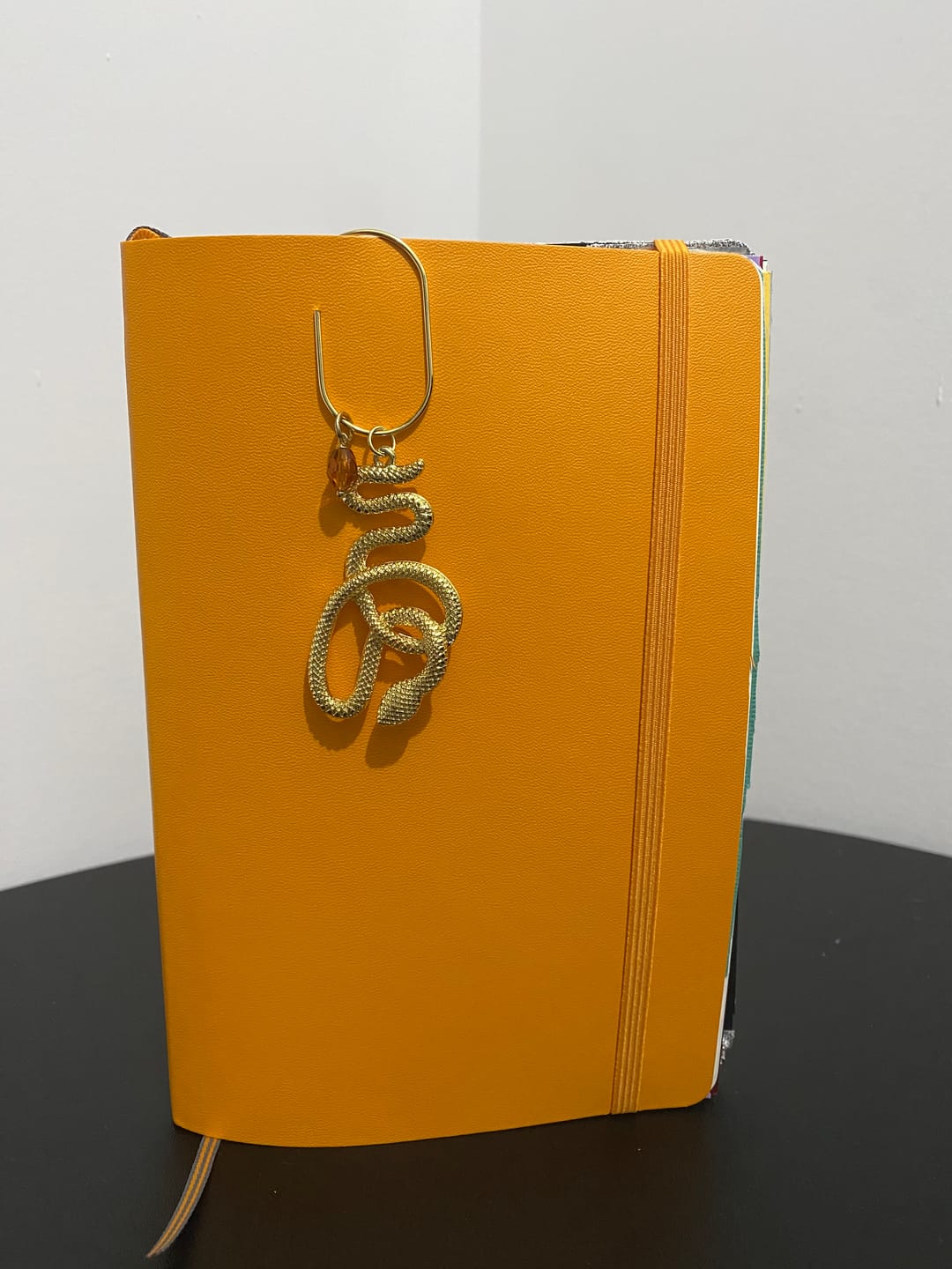 Customer photo review of Jumbo Gold Paperclip Bookmark – Charm Holder (Set of 2)