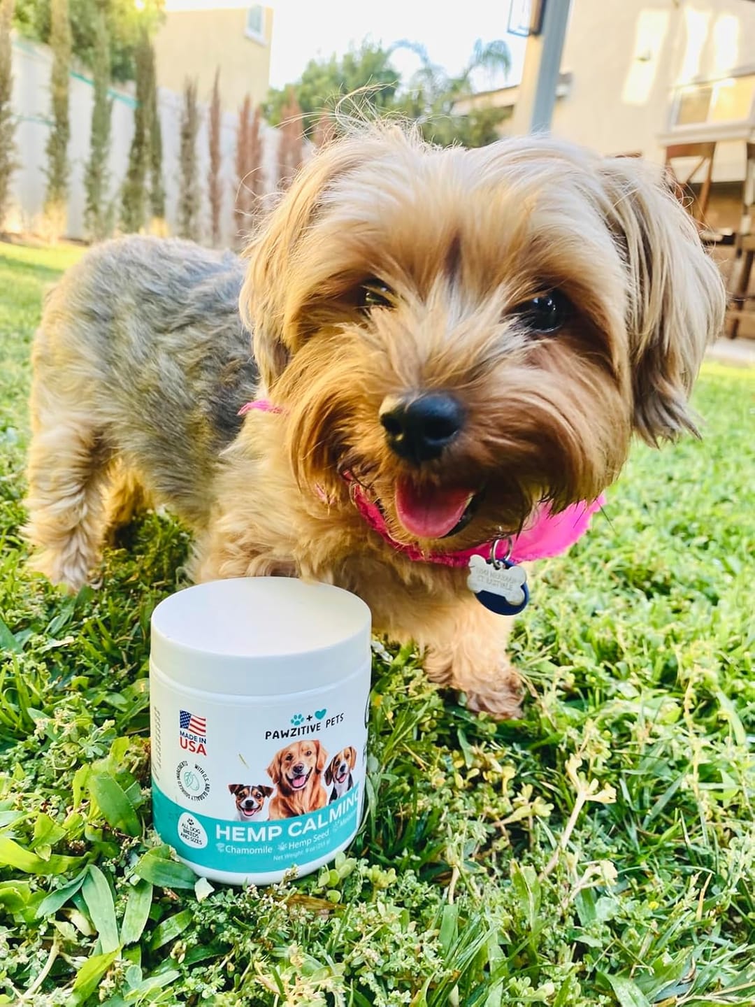 Customer photo review of Hemp Calming Chews for Dogs