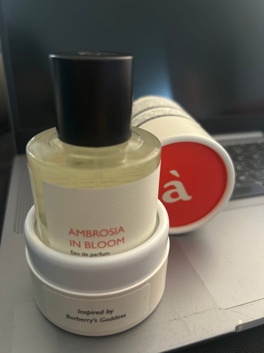 Customer photo review of Ambrosia in Bloom