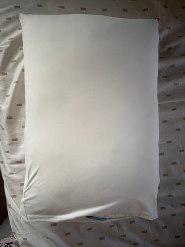 Customer photo review of The Marshmalloo Pillow