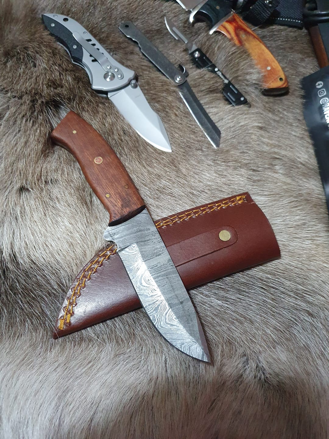 Customer photo review of Mystery Damascus Knife