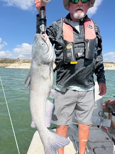 Customer photo review of Waterloo Salinity
