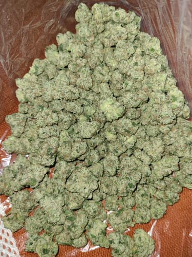 Customer photo review of Boutique Exotics Lemon Dior - Bulk - Hybrid