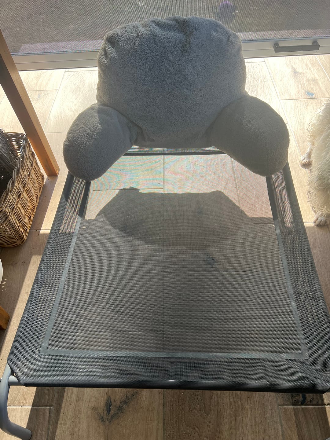 Customer photo review of Outdoor Dog Bed - Pet Trampoline