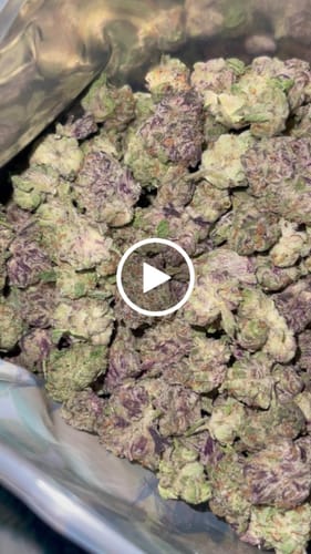 Customer video review of Gorilla Glue THCA Flower
