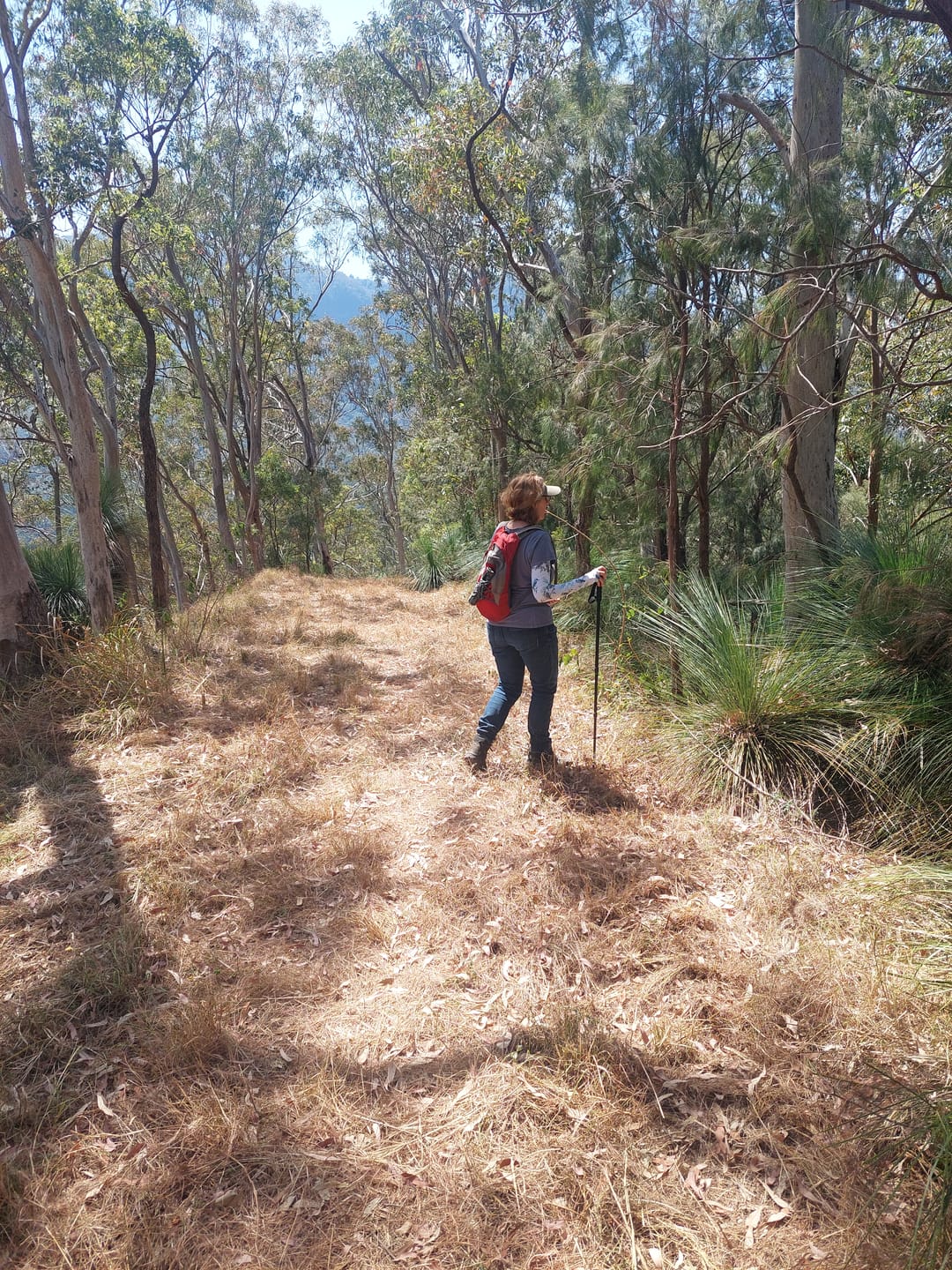 Customer photo review of Gardening Protection Sleeves - Kookaburra White