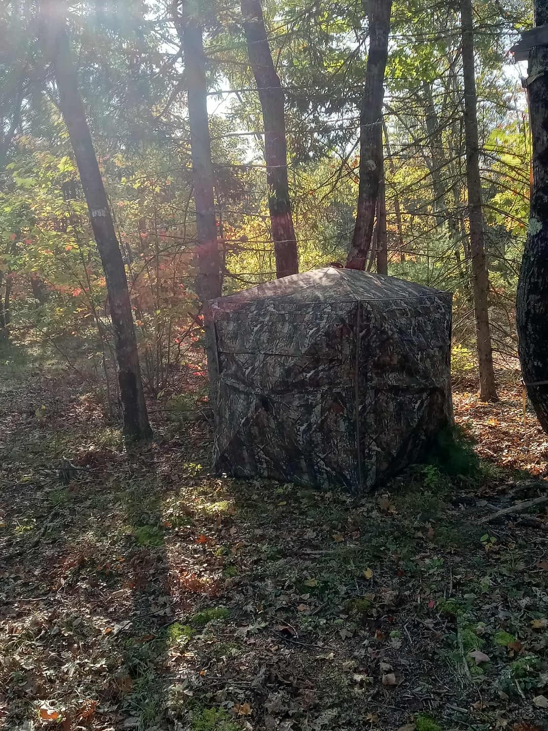 Customer photo review of Tidewe VisTrilogy See-Through Pop-Up Hunting Ground Blind for Deer, Turkey (4-6 Person)