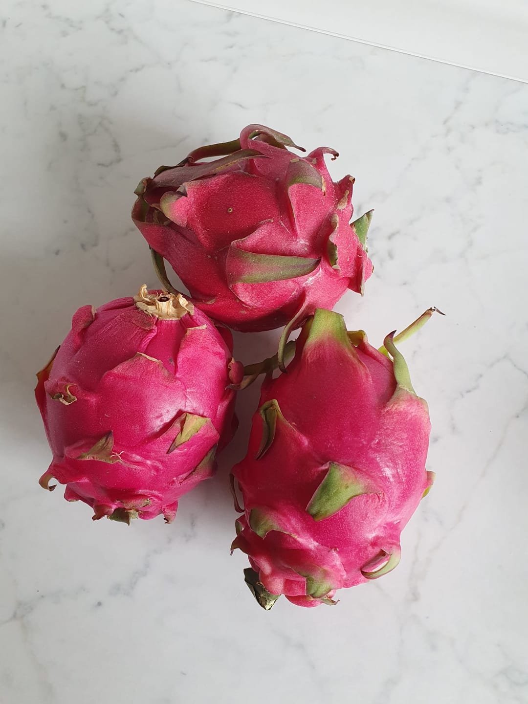 Customer photo review of Drachenfrucht rot Bio Aktionswoche %
