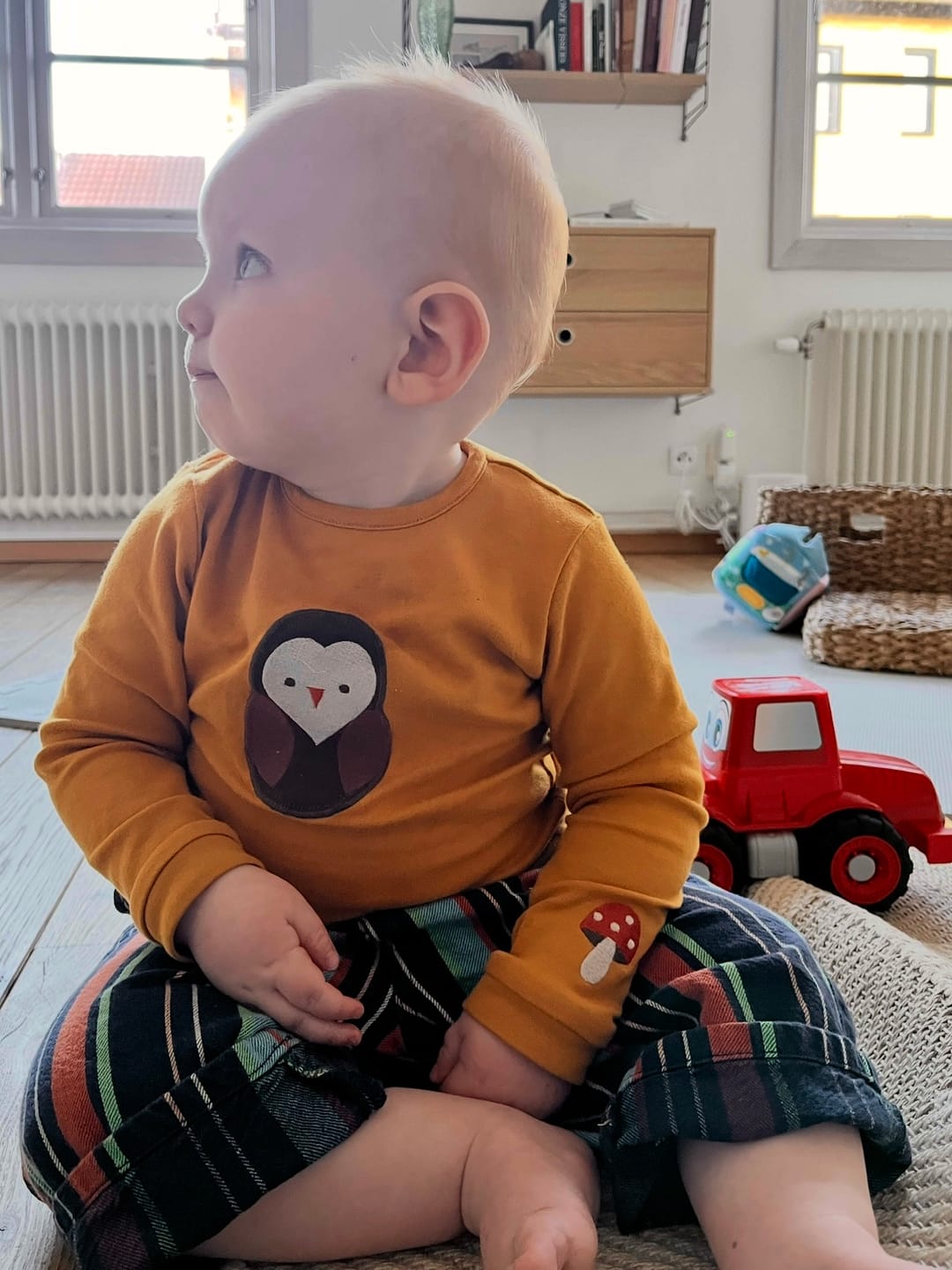 Customer photo review of Brown Owl Applique Long Sleeve T-Shirt