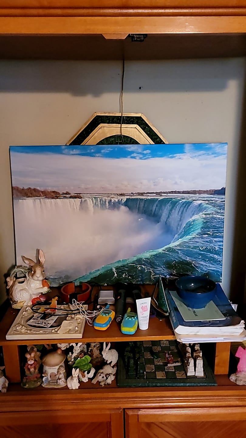 Customer photo review of Niagara Falls Wall Art, Horseshoe Fall Canvas Print, Ontario, Canada Ready to Hang Canvas Print №2008