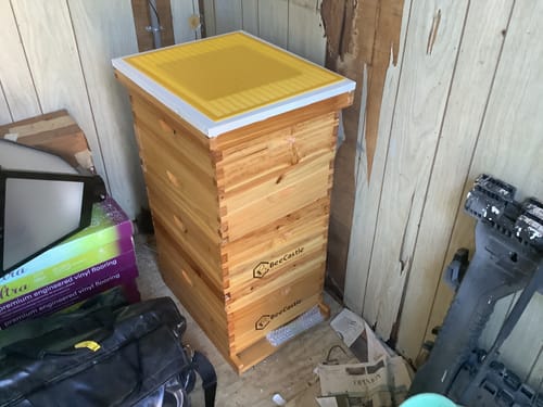 Customer photo review of Worry-Free Purchase