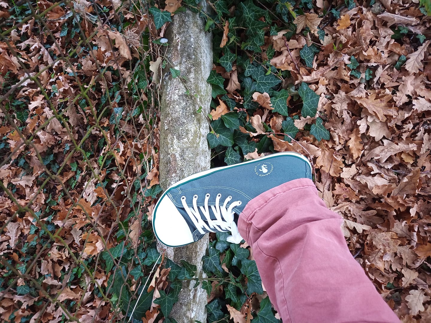 Customer photo review of Roam I - Barefoot Chaussures