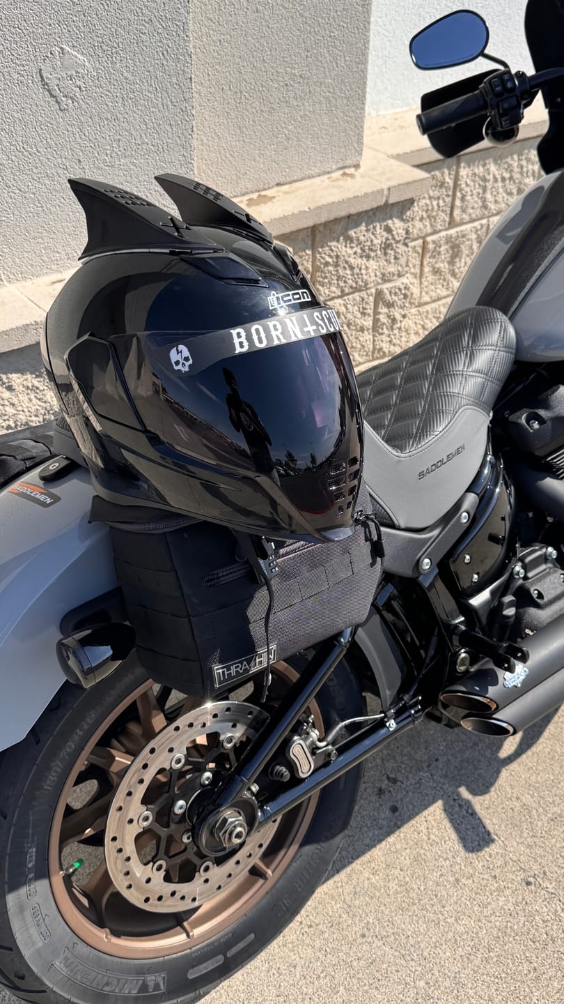 Customer photo review of INVERTED LOGO HELMET VISOR