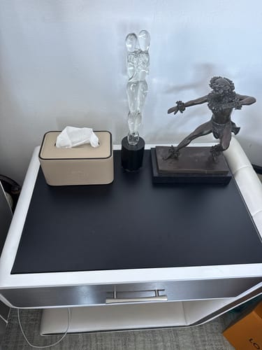 Customer photo review of CUSTOM HERMES TISSUE BOX COVER