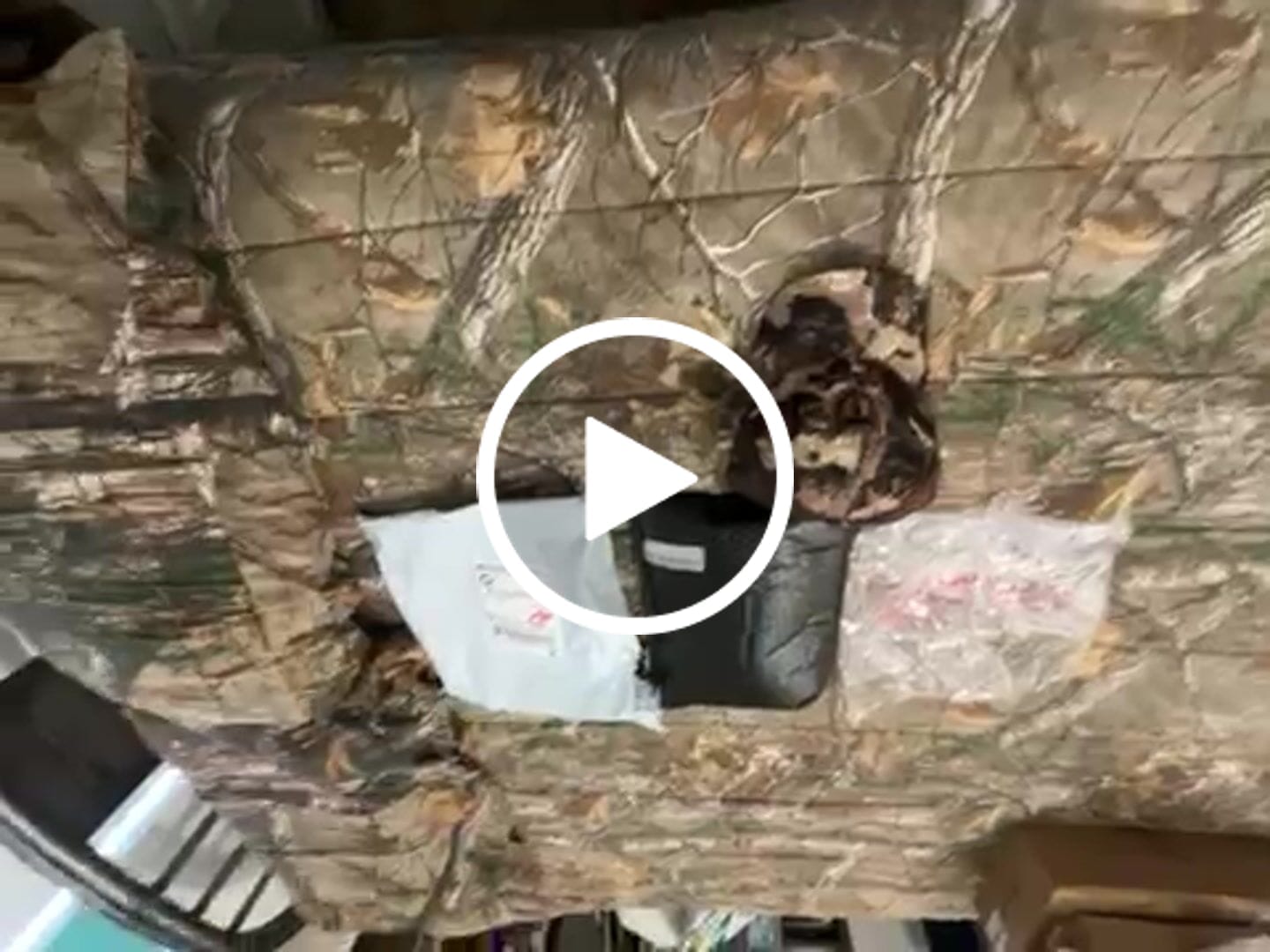 Customer video review of Veil Whitetail Mesh-Back Logo Hunting Cap