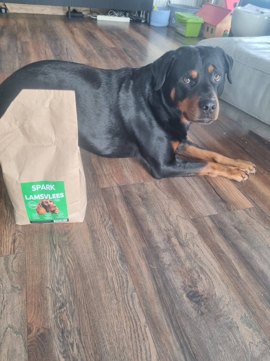 Customer photo review of Volwassen - Lamsvlees met Zoete Aardappel & Munt
