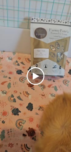 Customer video review of Flower Fields