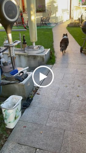 Customer video review of Frischfutter für Energiebedarf von 163 kCal/Tag