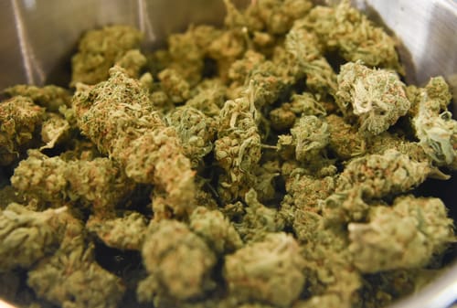 Customer photo review of Fresh Lows Lounge