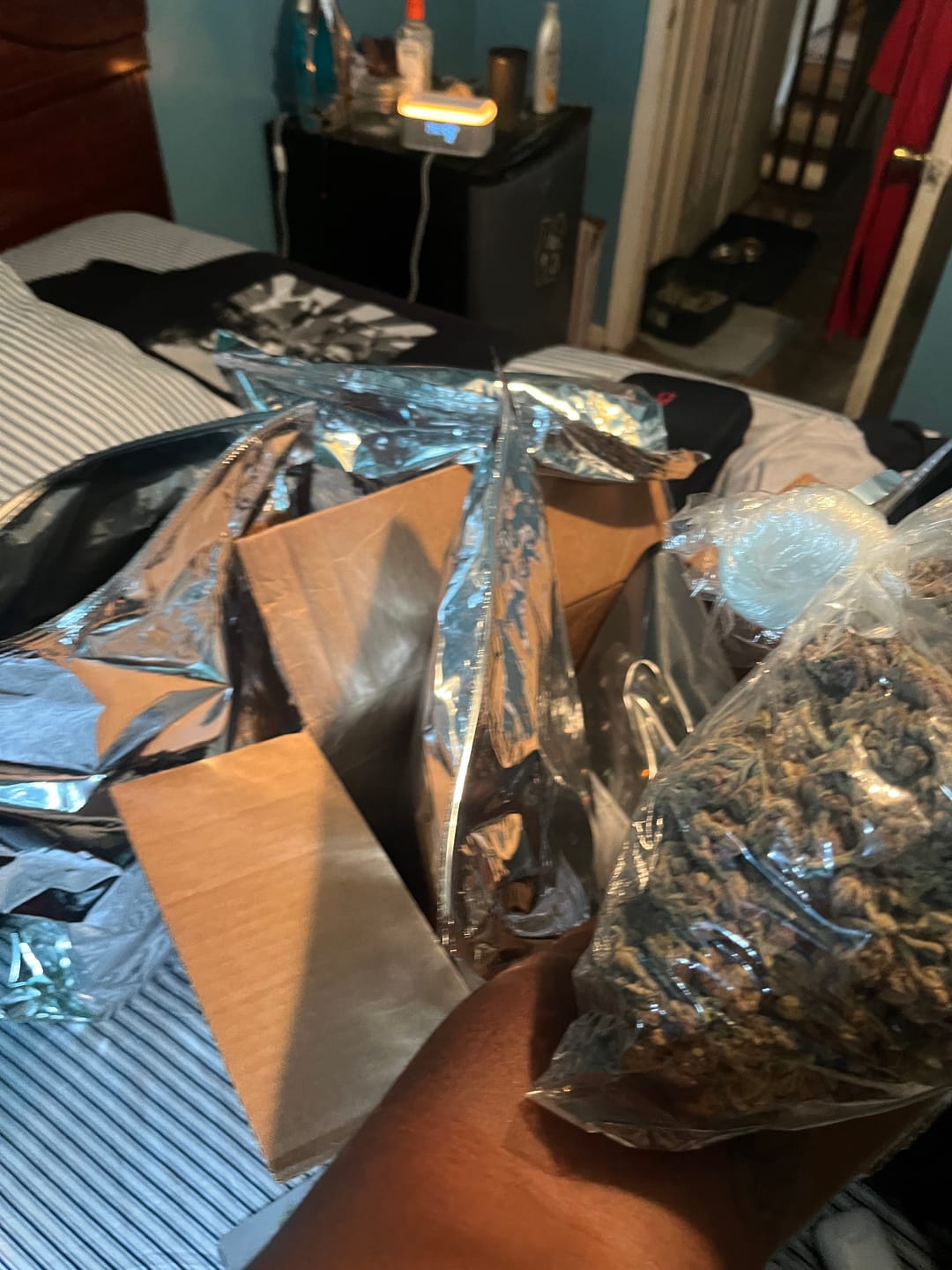 Customer photo review of Sunset Sherbet – Budget THCA Trim
