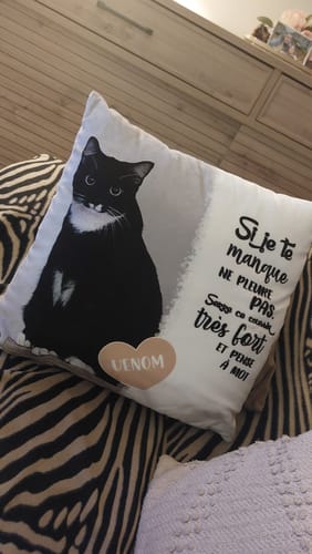 Customer photo review of Si je te manque - Coussin personnalisé