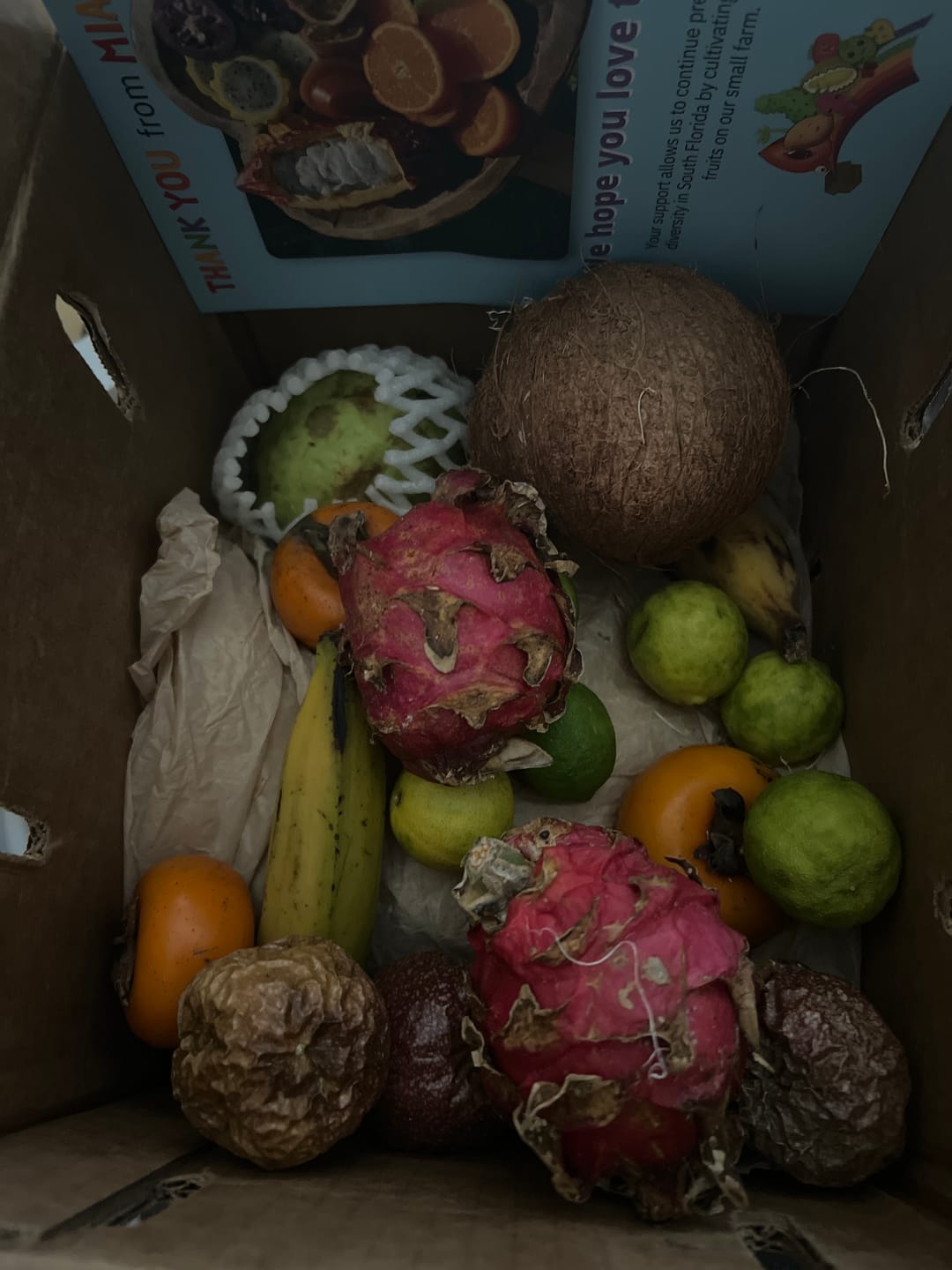 Customer photo review of Leftovers Box
