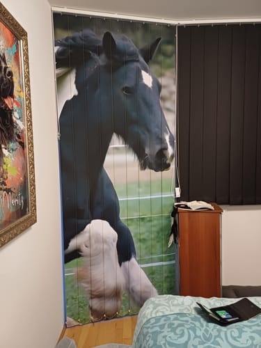 Customer photo review of Lamellenvorhang mit Motiv