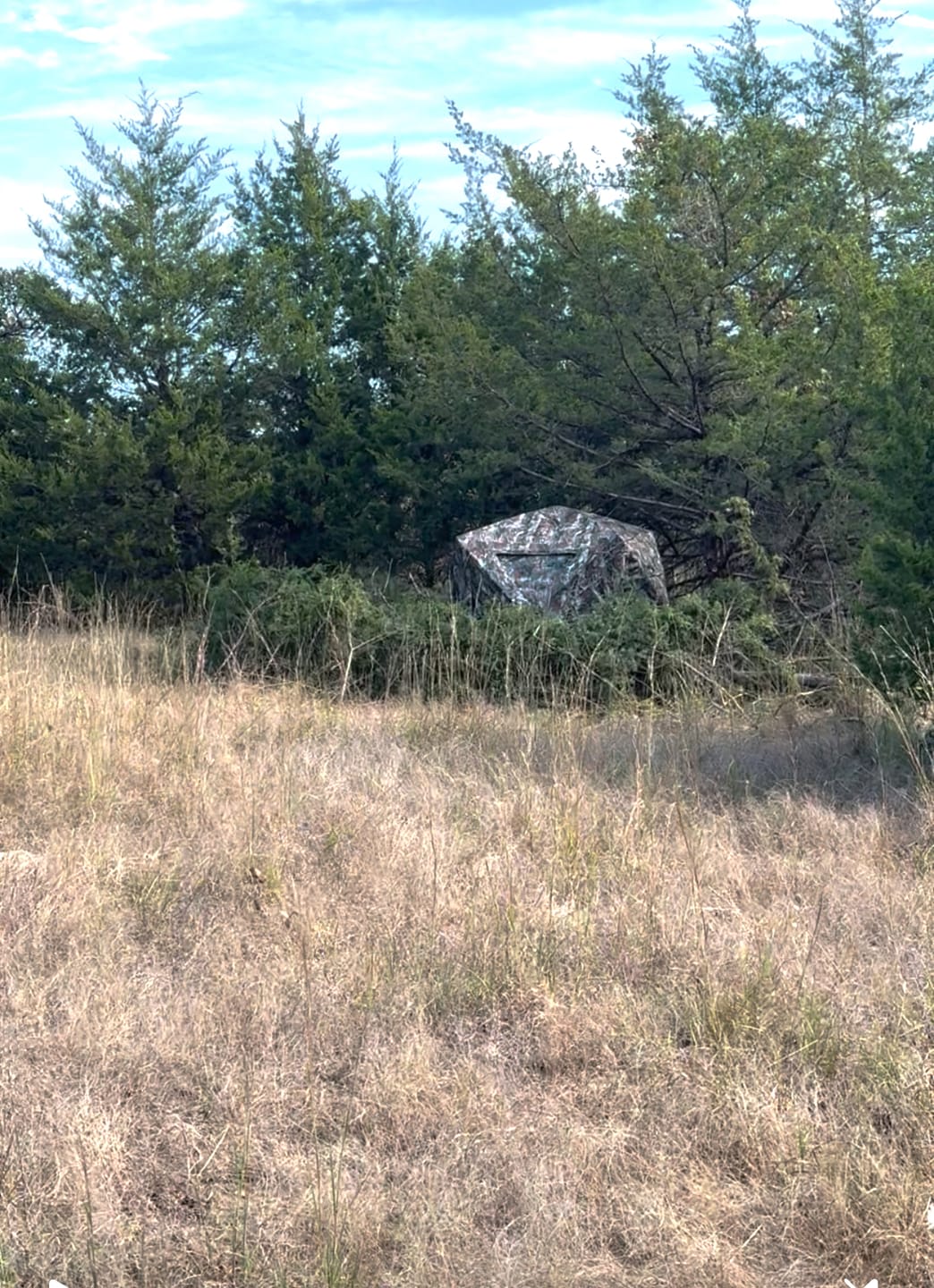 Customer photo review of VisST See-Through Pop-Up Ground Blinds with Silent Magnetic Door