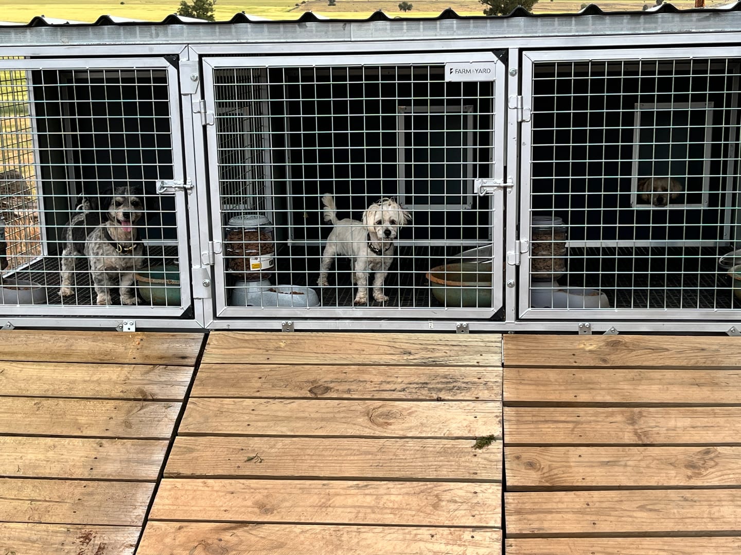 Customer photo review of CozyCube Coldroom Panel Insulated Dog House