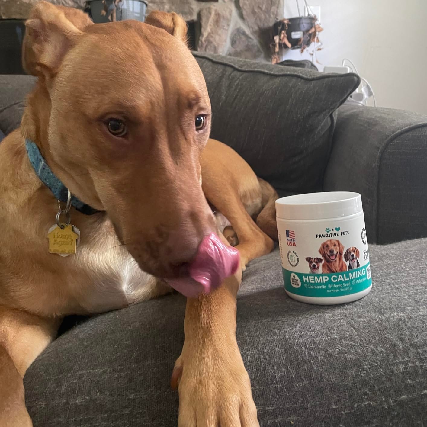 Customer photo review of Hemp Calming Chews for Dogs