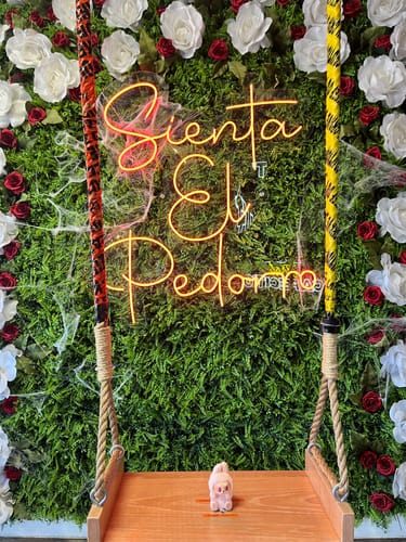 Customer photo review of Labubu V2 Have a Seat Vinyl Plush Blind Box