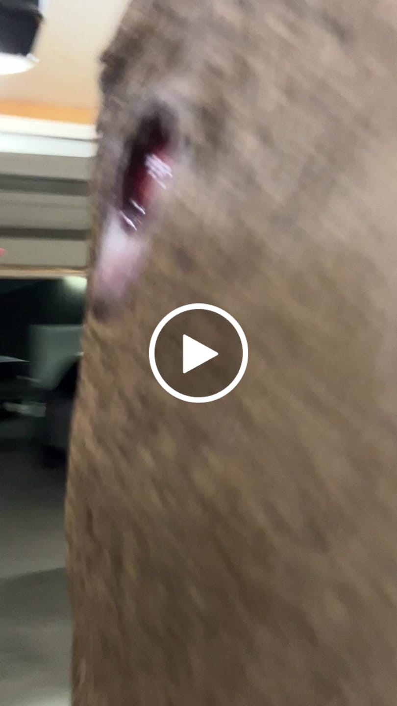 Customer video review of Aluminum Broadheads