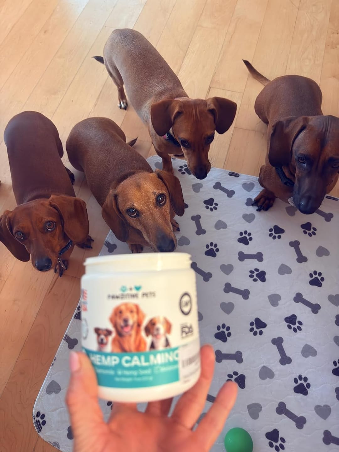 Customer photo review of Hemp Calming Chews for Dogs
