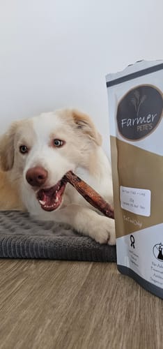 Customer photo review of Beef Pizzle (Thin & Long)