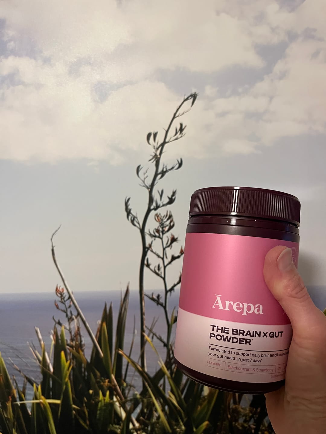 Customer photo review of The Brain x Gut Powder⁺