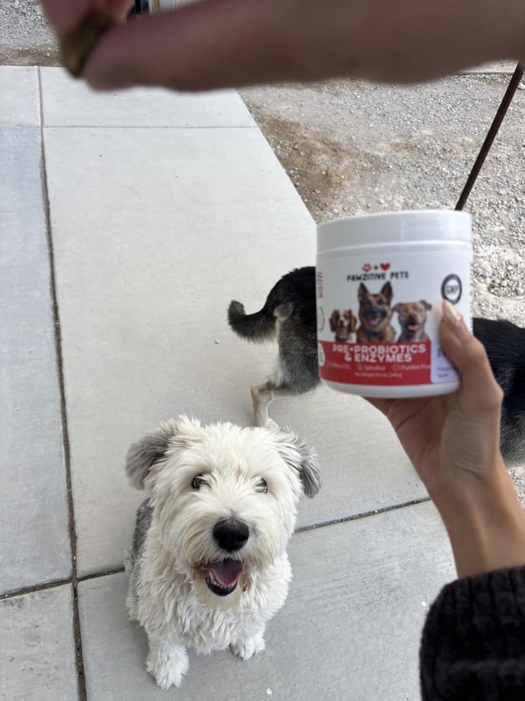 Customer photo review of Probiotics for Dogs Digestive Health