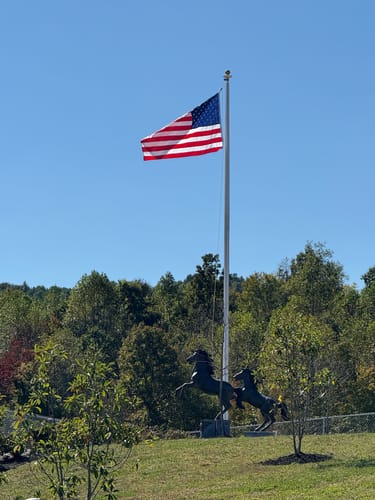 Customer photo review of Heavy Duty American Nylon Flag - Made In USA