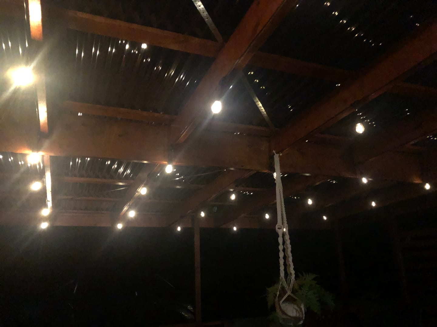 Customer photo review of Festoon Solar Lights (Series 2)