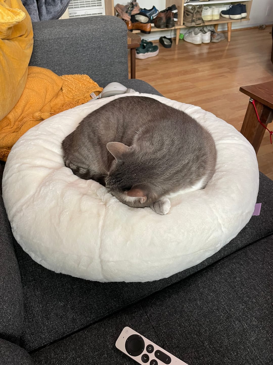 Customer photo review of Sourdough Pudding Bed