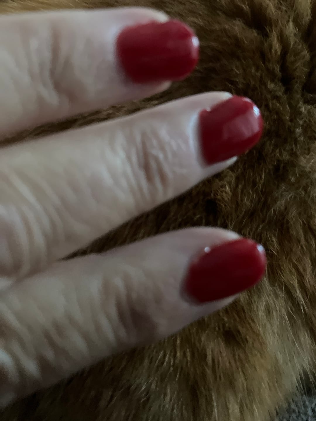 Customer photo review of Christmas Red Dipping Powder