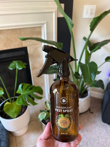 Customer photo review of Houseplant Pest Spray
