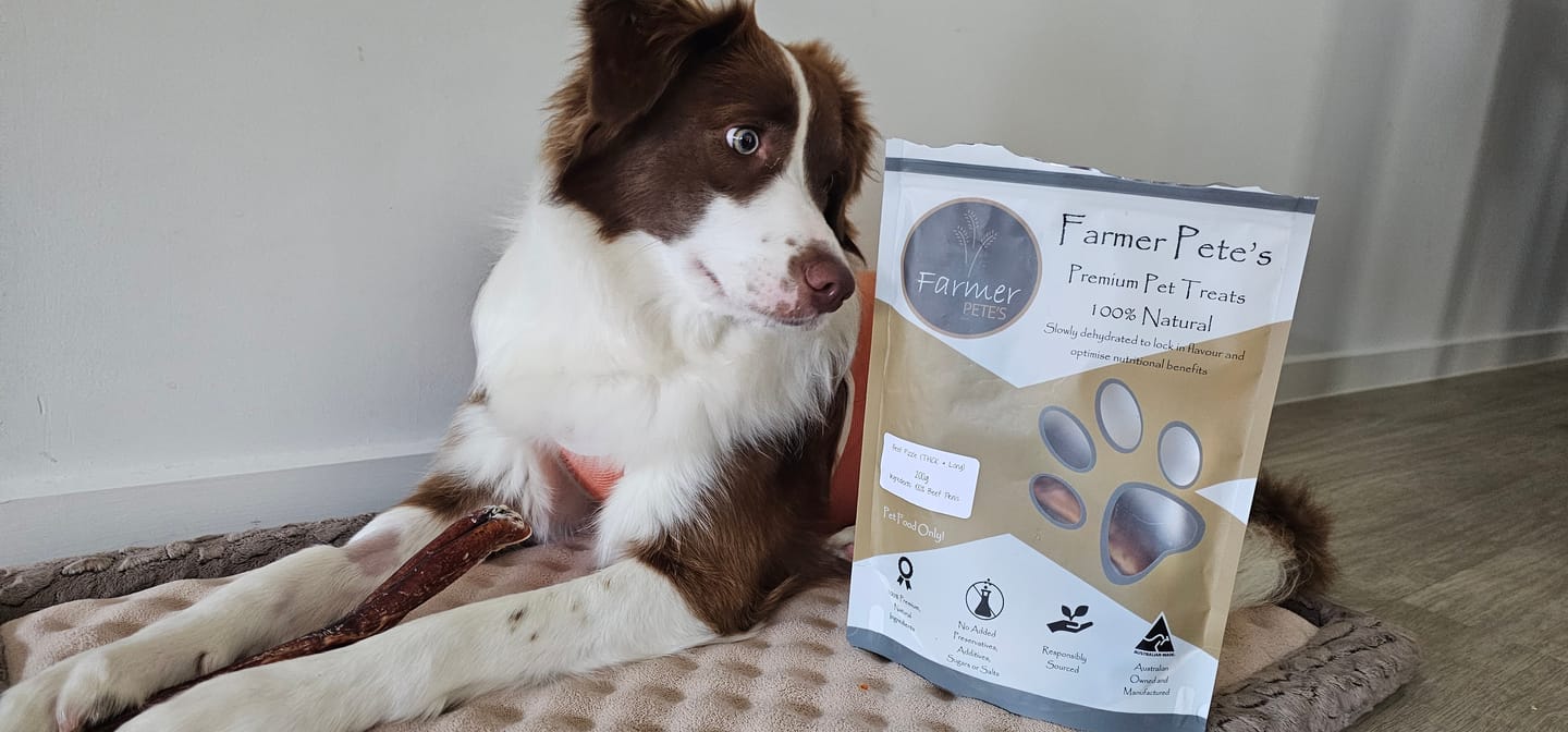 Customer photo review of Beef Pizzle (THICK & Long)