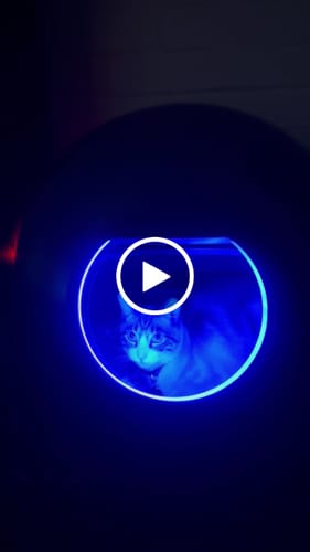 Customer video review of AutoClean Max Automatic Self Cleaning Cat Litter Box
