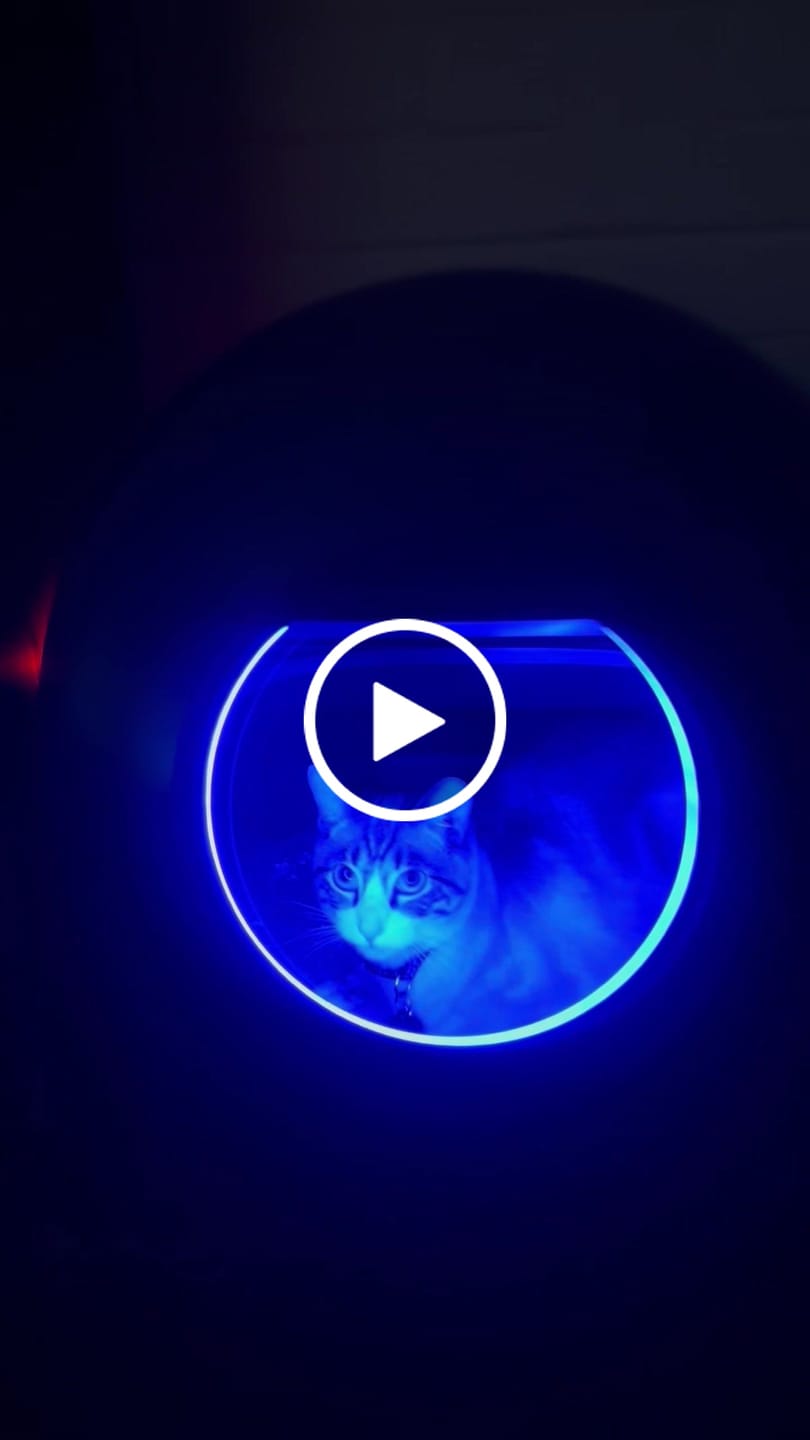 Customer video review of AutoClean Max Automatic Self Cleaning Cat Litter Box