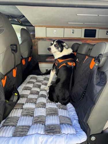 Customer photo review of RuffRover 2.0™ - Hard Bottom Back Seat Extender + (FREE Dog Bed)