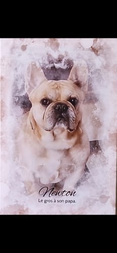 Customer photo review of Aquarelle - Toile personnalisée