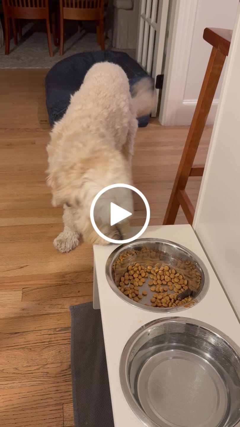 Customer video review of Ostrich Sausages with Rooibos (3oz): The Delicious, Skin-Soothing Treat for Dogs with Allergies