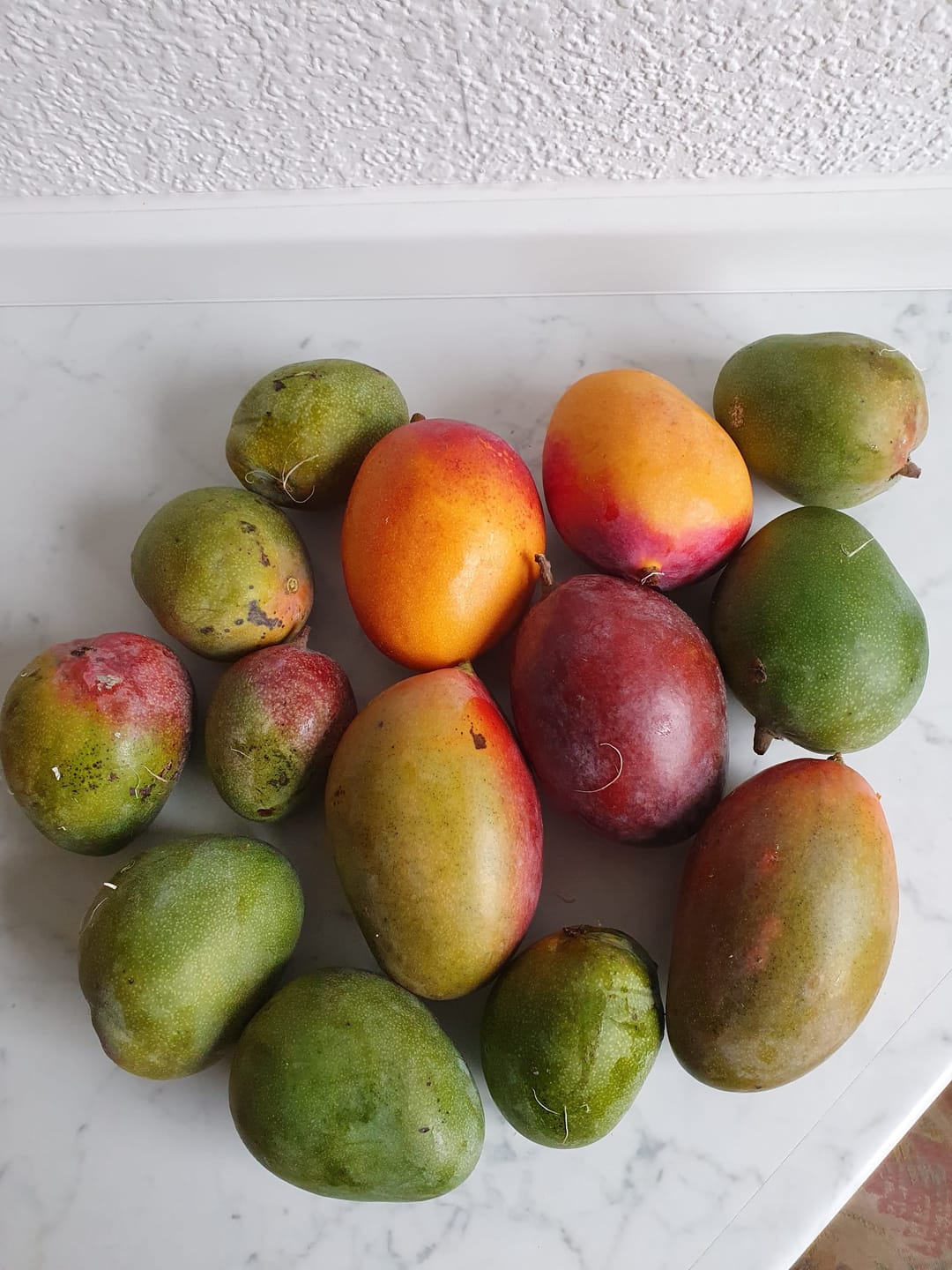 Customer photo review of Baby-Mango Mix von Julian Retter-Box 3kg