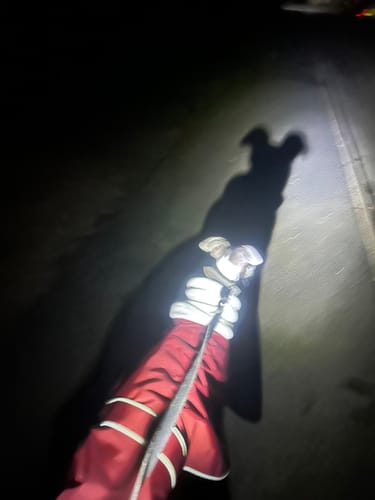 Customer photo review of Sighthound Polar Waterproof Coat with Snood Collar